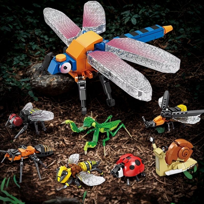 des-insectes-sur-le-sol-dans-les-bois