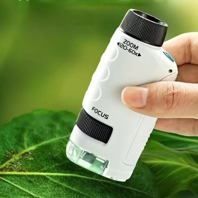 blanc-posé-sur-une-feuille-d'arbre-verte