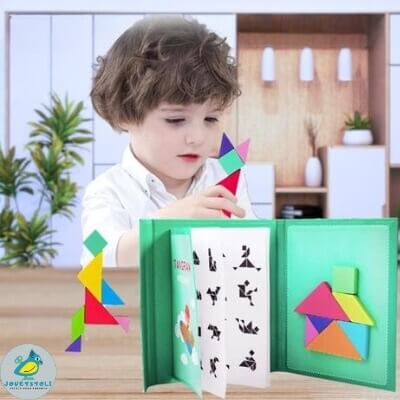 Montessori Puzzle Enfant 3 4 5 Ans, Puzzle Tangram, 3D de Russe en