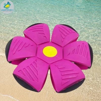    Ballon-frisbee-rose