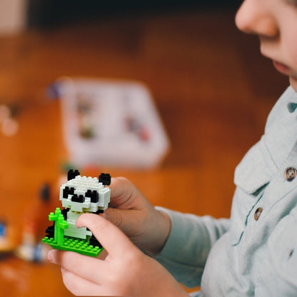 un-garçon-tient-une-figurine-panda