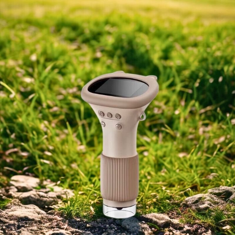 microscope enfant brun ourson sur pierre dans une clairière