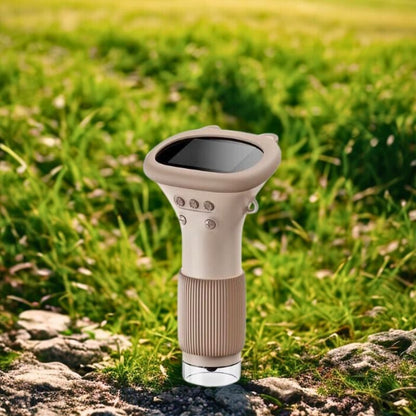 microscope enfant brun ourson sur pierre dans une clairière
