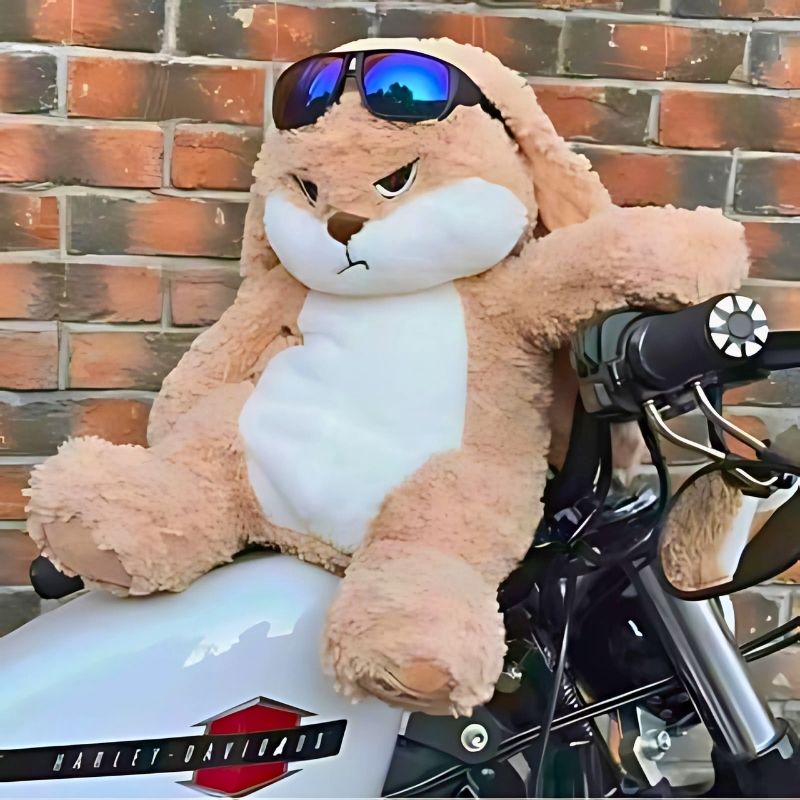 peluche lapin assis sur une moto harley davidson